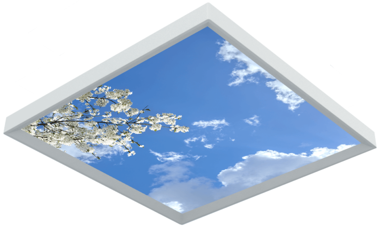 Plafonds lumineux - Un ciel réaliste dans vos locaux professionnels